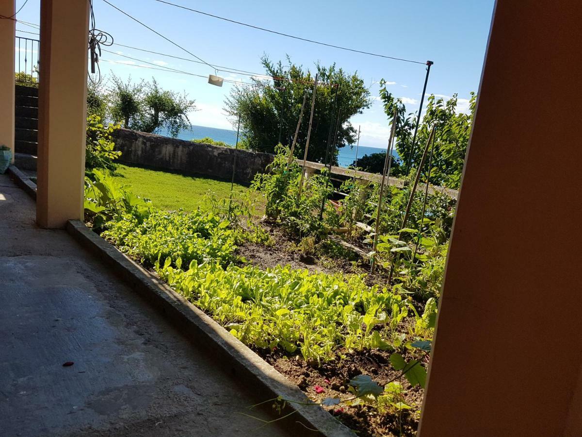 ☼Sunset Apartment Piran Kültér fotó